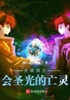 全民领主：会圣光的亡灵