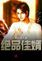绝品佳婿