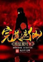 完美遮仙