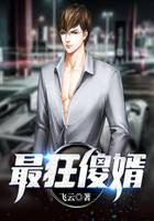 最狂傻婿