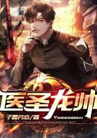 医圣龙帅