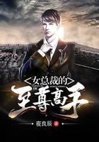 女总裁的至尊高手
