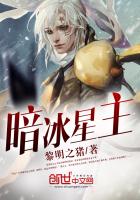 暗冰星主