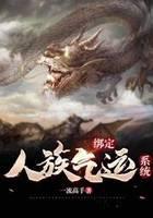 绑定人族气运系统