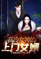 高冷女神的上门女婿