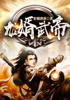 龙婿武帝