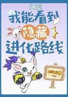 神宠：我能看到隐藏进化路线