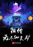 祖传无尽仙灵矿