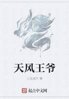 天风王爷