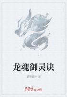 龙魂御灵诀