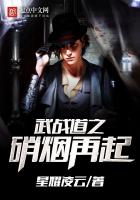 武战道之硝烟再起