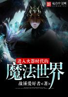 进入火器时代的魔法世界
