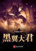 黑翼大君
