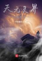 天元灵界简介
