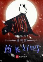 请叫我酋长好吗