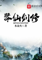 琴仙剑修