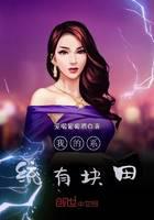 我的系统有块田