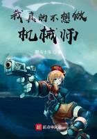 我真的不想做机械师