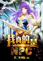 我真的是NPC