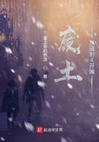 废土从辐射4开始