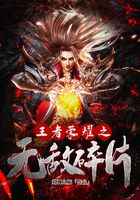 王者荣耀之无敌碎片