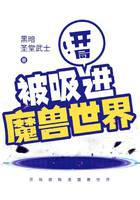 开局被吸进魔兽世界