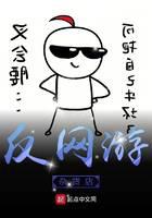 反网游杂货店
