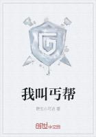 这个游戏叫疆域