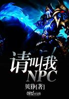 请叫我NPC