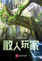 散人玩家