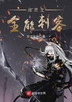 战灵之全能刺客