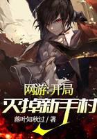 网游：开局灭掉新手村