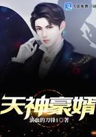 天神豪婿