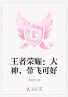 王者荣耀：大神，带飞可好