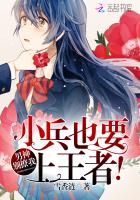 男神别撩我：小兵也要上王者！