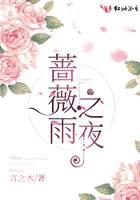 蔷薇雨之夜