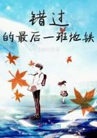 错过的最后一班地铁
