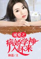 暖爱之病娇学神很腹黑