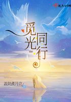 觅光同行