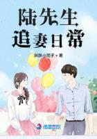 陆先生追妻日常