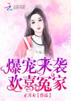 欢喜冤家之偏偏喜欢你