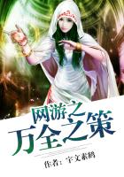 网游之万全之策