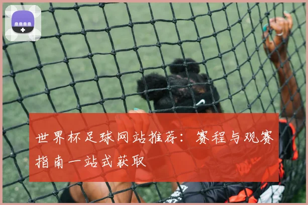 世界杯足球网站推荐:赛程与观赛指南一站式获取