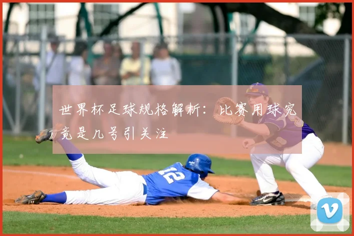 世界杯足球规格解析：比赛用球究竟是几号引关注