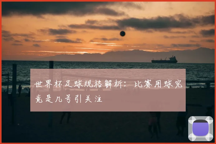 世界杯足球规格解析：比赛用球究竟是几号引关注