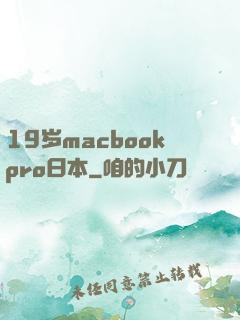 19岁macbookpro日本