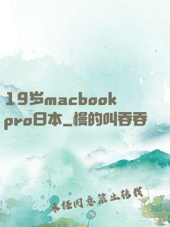 19岁macbookpro日本
