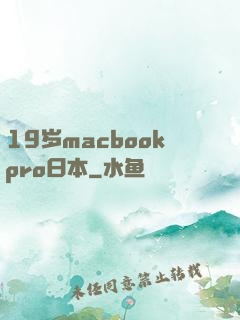 19岁macbookpro日本