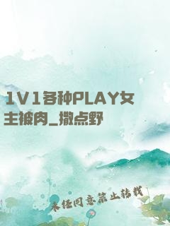 1V1各种PLAY女主被肉