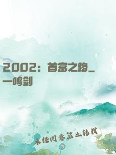2002：首富之路